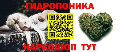 индика Пыть-Ях