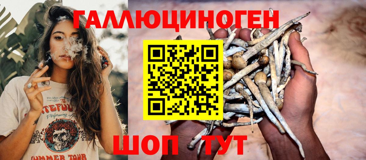 Галлюциногенные грибы Psilocybine cubensis Реж
